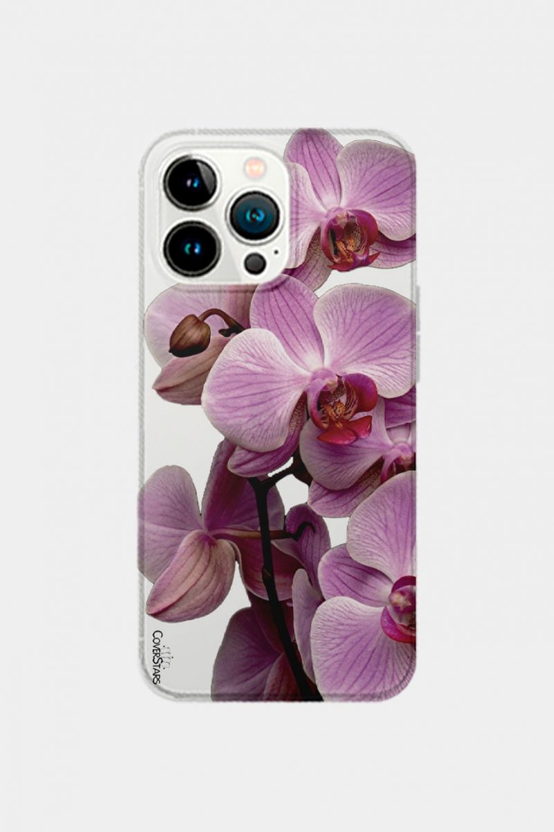 Cover Clear Orchidea
