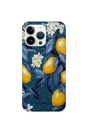 Cover IML Limoni di Sicilia